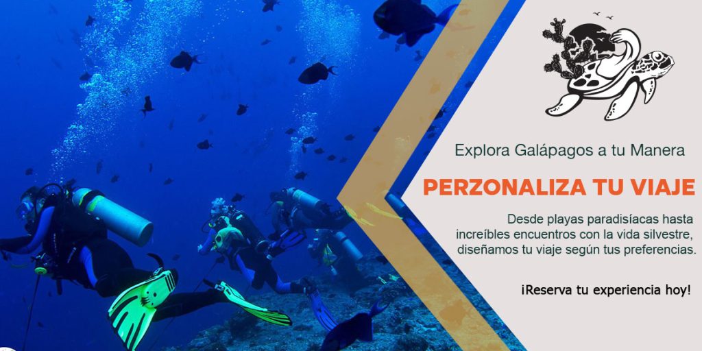 Banner--home-galapagos-with-us-2