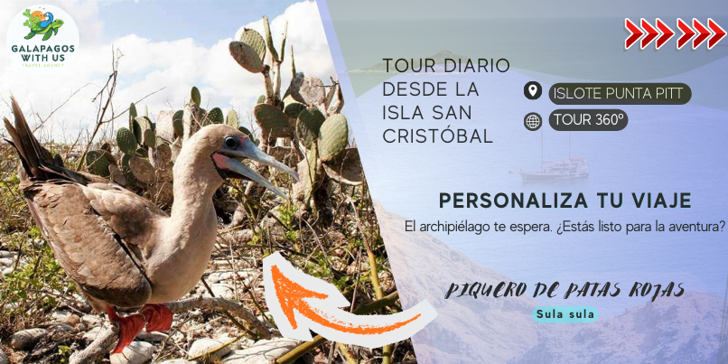 TOUR 360 CON LEON DORMIDO