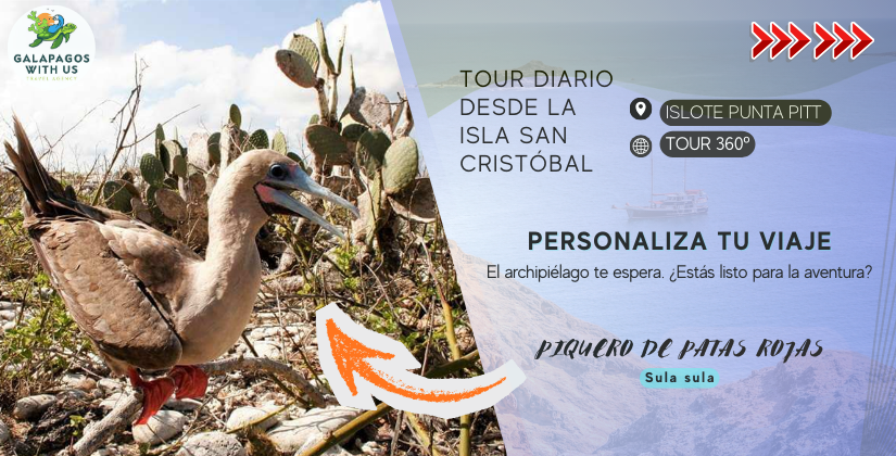 TOUR 360 CON LEON DORMIDO